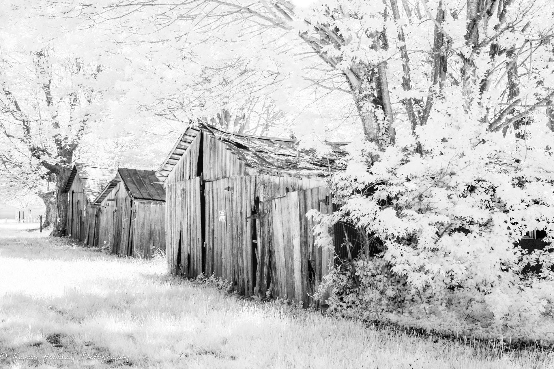 Louisville Kentucky Barns #1