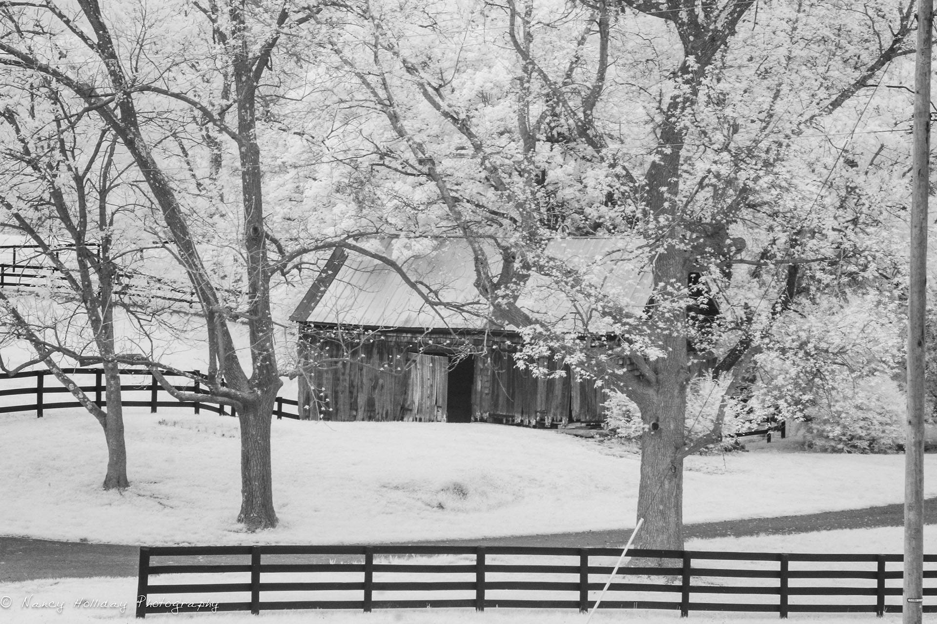 Louisville Kentucky Barns Infrared #2