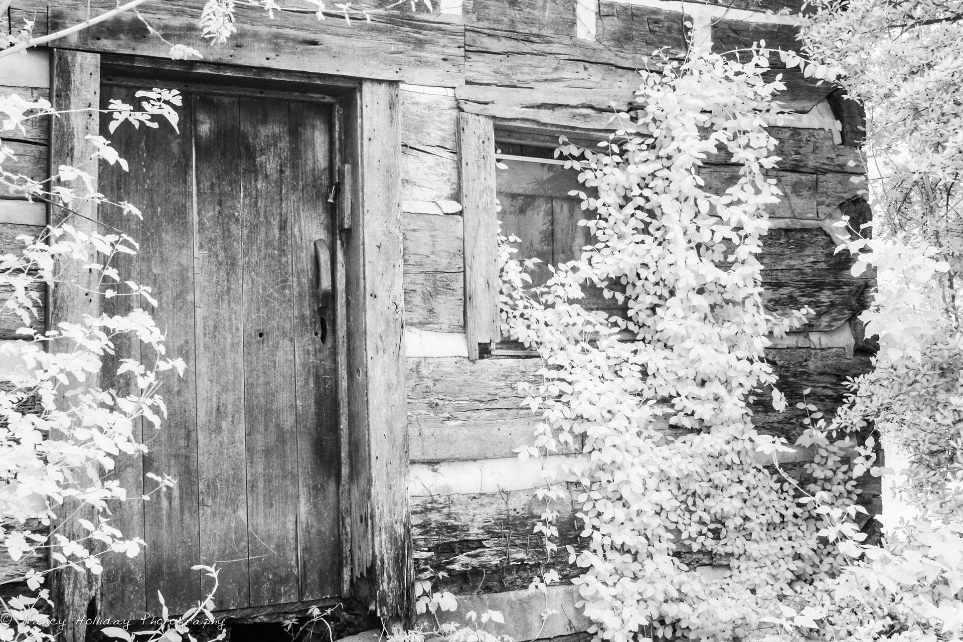 Louisville Kentucky Cabin Infrared
