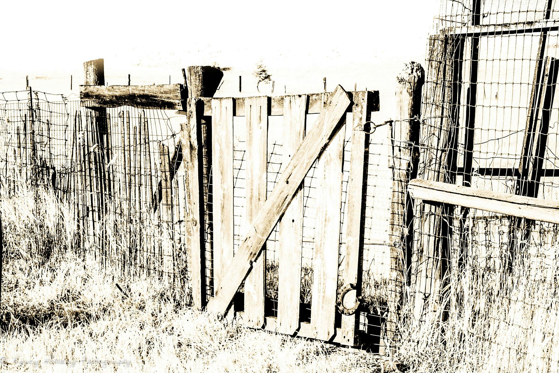 Montana Barn Gate Infrared