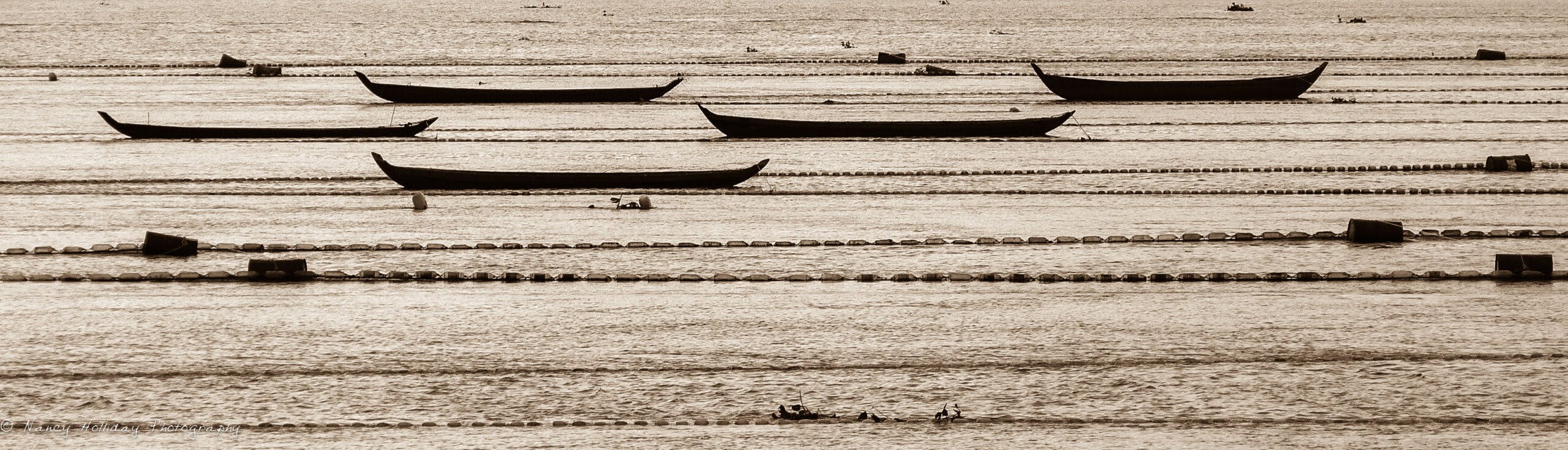 Cambodian Dragon Boats