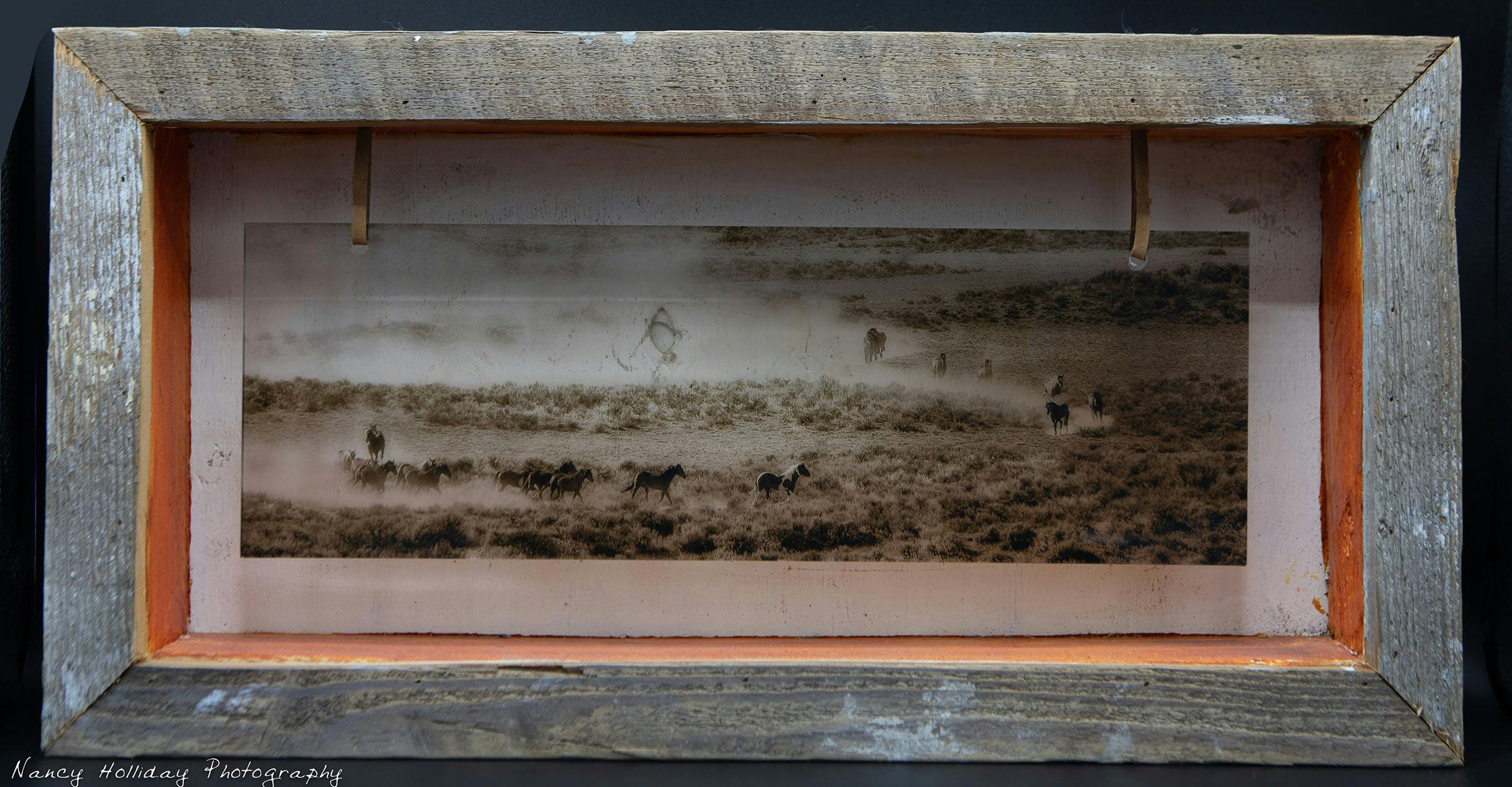 Plexi Print in barn box wild mustangs